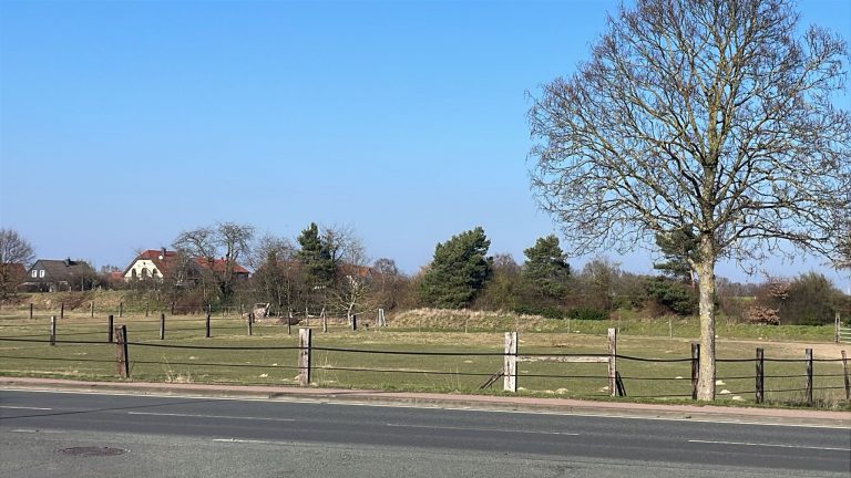 Kritische Fragen zum geplanten „Quartier Siekhof“ – Ortsentwicklung mit Augenmaß statt zusätzlicher Flächenversiegelung