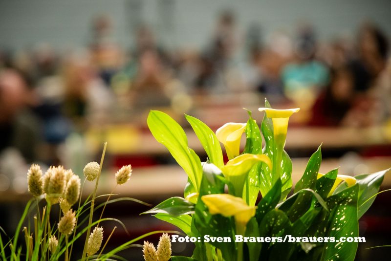 Foto: Sven Brauers/brauers.com